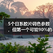 5个日系胶片调色参数，但第一个可能90%的人不知道