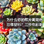 为什么你的照片调完色总像塑料?三步电影调色思路帮你破局(图2) 为什么你的照片调完色总像塑料?三步电影调色思路帮你破局(图2)