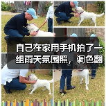 自己在家用手机拍了一组雨天氛围照,调色翻车后我总结了这份雨天氛围色调预设指南(图2) 自己在家用手机拍了一组雨天氛围照,调色翻车后我总结了这份雨天氛围色调预设指南(图2)